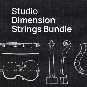 VSL Vienna Symphonic Library Studio Dimension Strings Bundle for Synchron Player