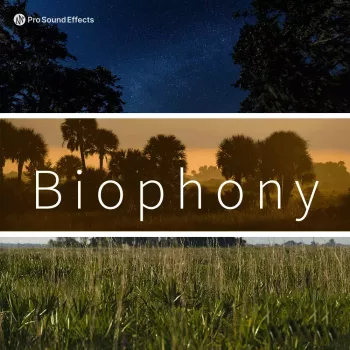 Pro Sound Effects Biophony WAV-FANTASTiC