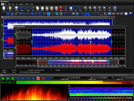 GoldWave v7.03 [WiN]